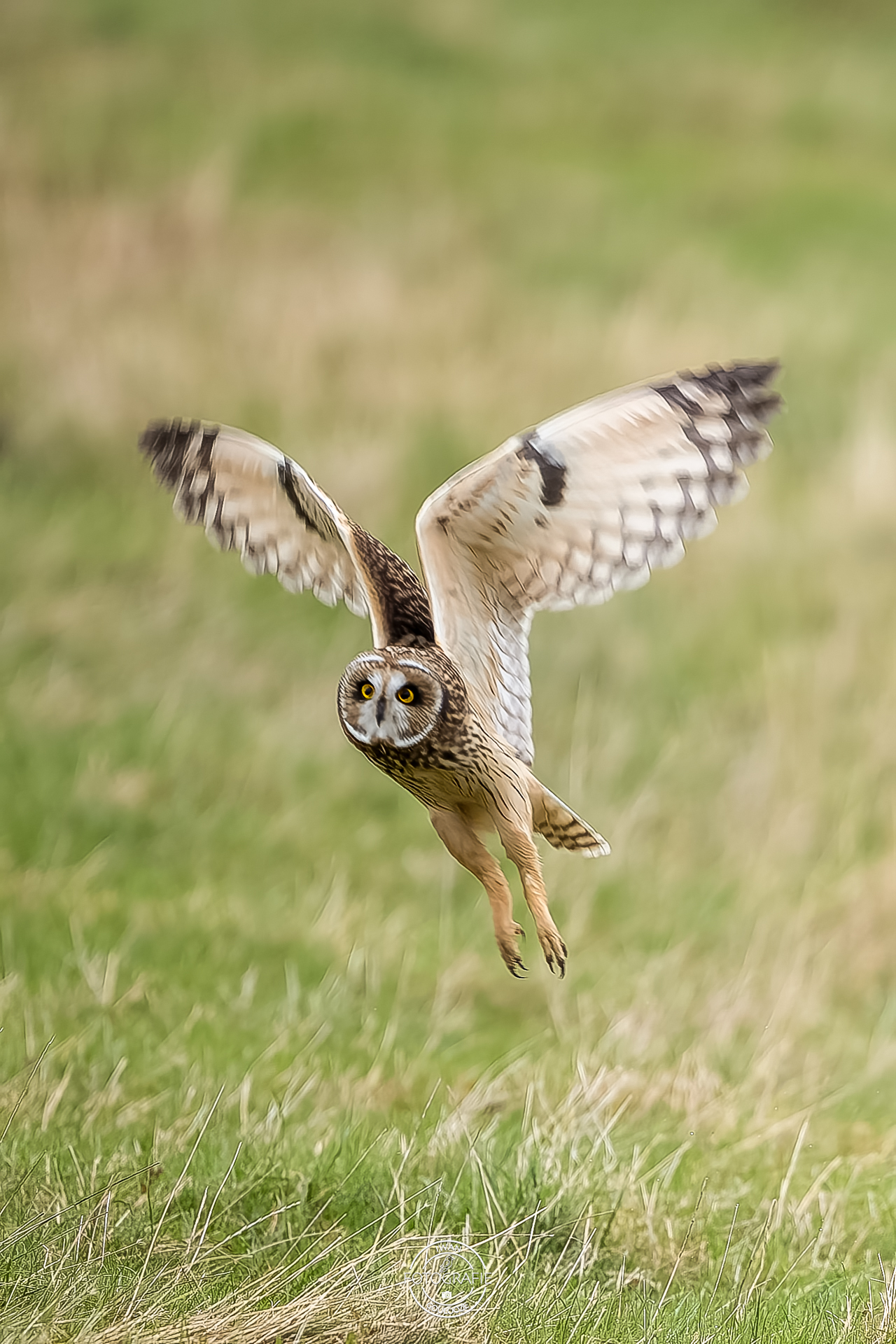 15 oktober 2022 164500 1R2A9707 bewerkt